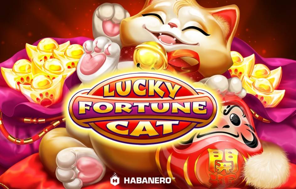 Lucky Fortune Cat