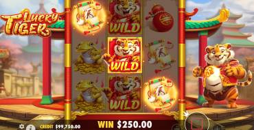 Lucky Tiger: Выигрыши