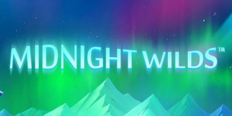 Midnight WIlds