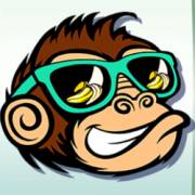Monkey Madness: Wild