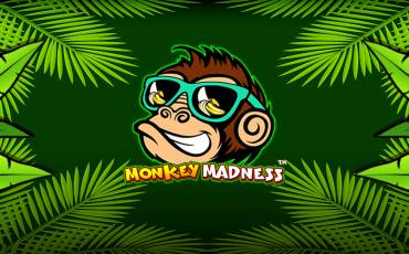 Monkey Madness