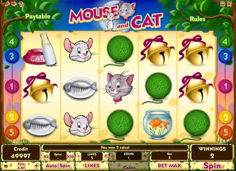 Видео покер Mouse and Cat демо-игра