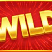 Ted Cash and Lock: Wild