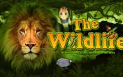 The Wildlife (демо-версия)