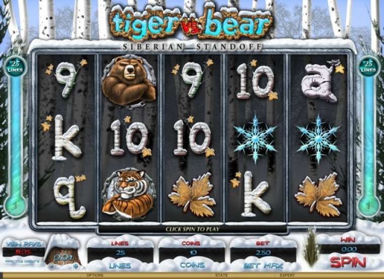 Tiger vs bear игровые автоматы игровой автомат игра онлайн