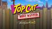 Top Cat Most Wanted Jackpot King (демо-версия)
