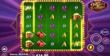 Vegas Fortune: Уникальные функции