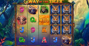 Way of the Tiger: Игровой автомат