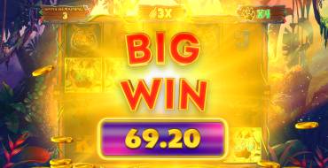 Way of the Tiger: Выигрыши