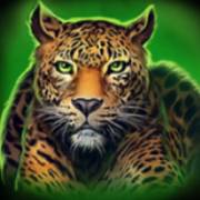 Way of the Tiger: Леопард