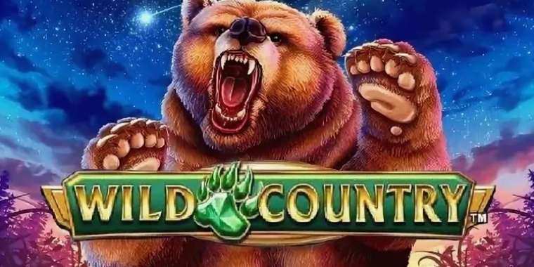 Видео покер Wild Country демо-игра