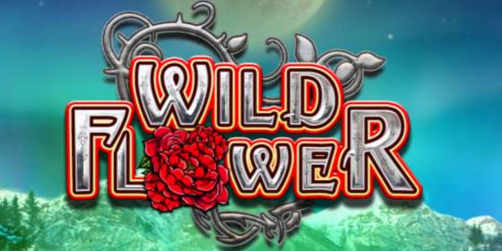 Wild Flower (Big Time Gaming) обзор