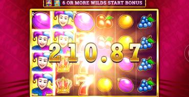 Wild Party Jokers: Выигрыши