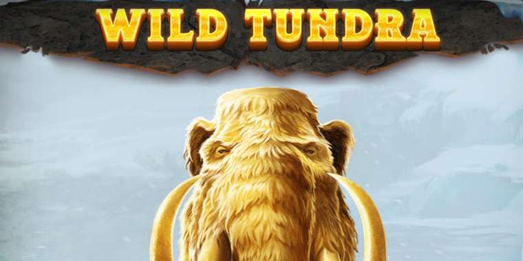 Онлайн слот Wild Tundra играть