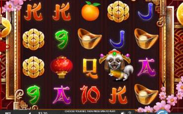 Year of the Dog