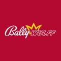 Bally Wulff