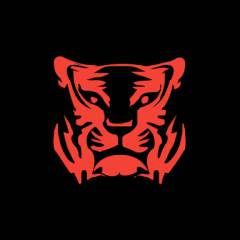 Провайдер Red Tiger