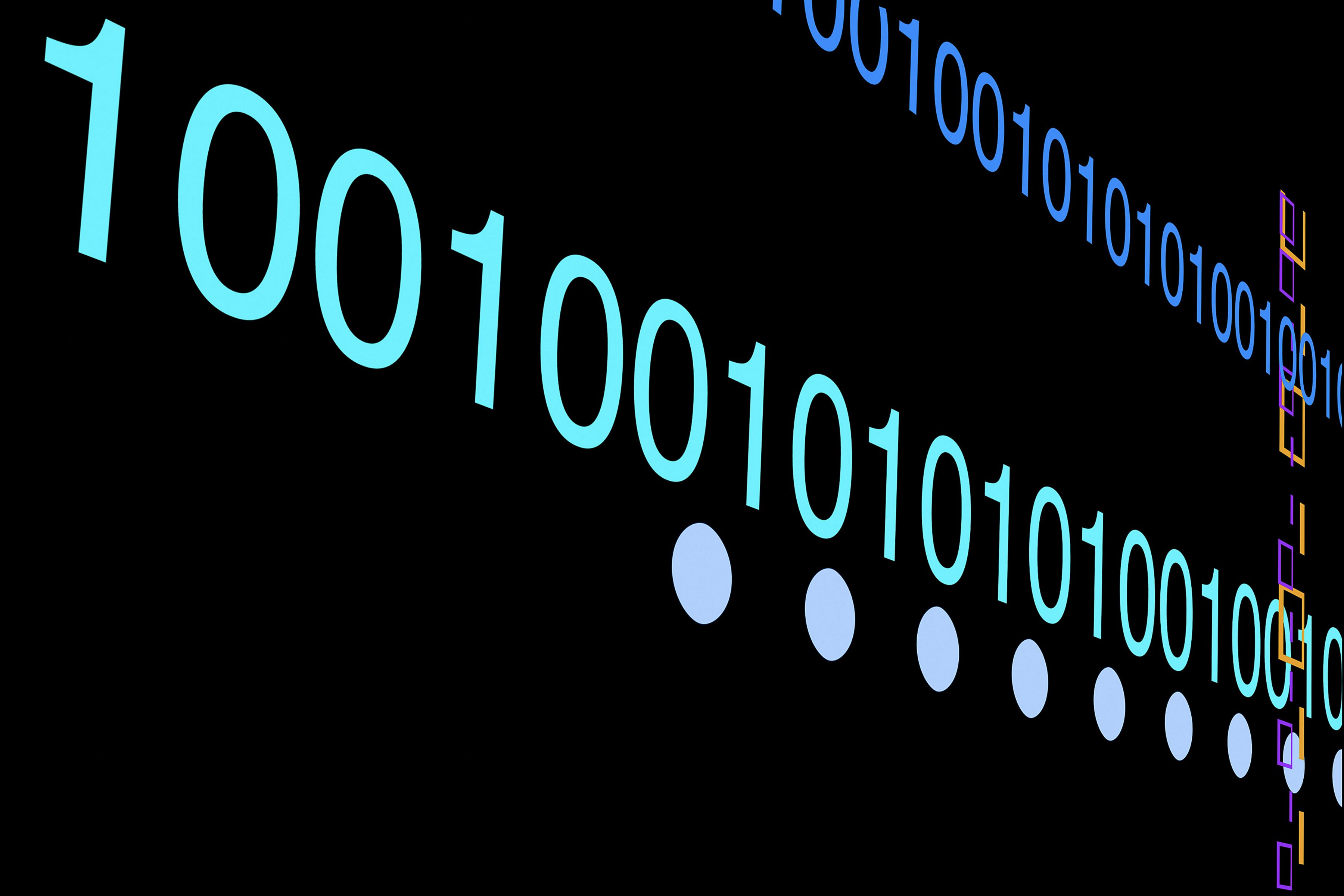 Программный код состоящий из единиц и нулей