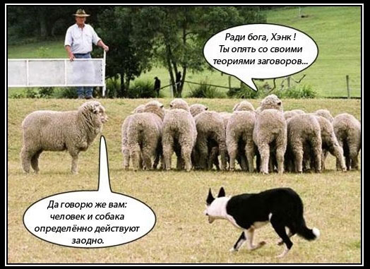 рулетка стратегия игры