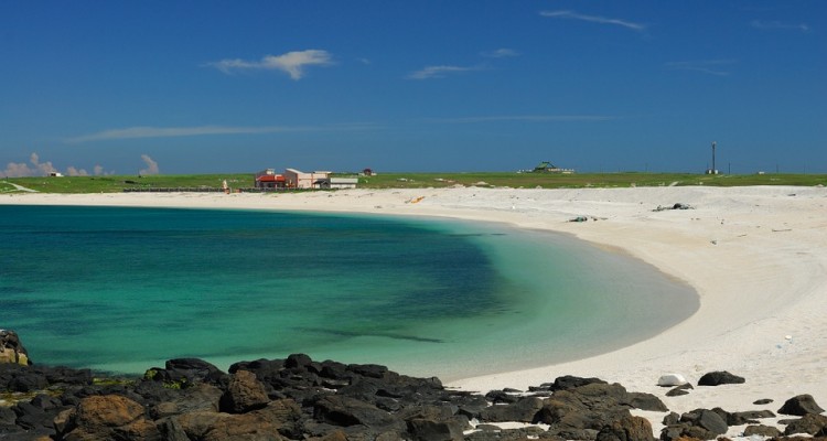 Референдум для одобрения казино