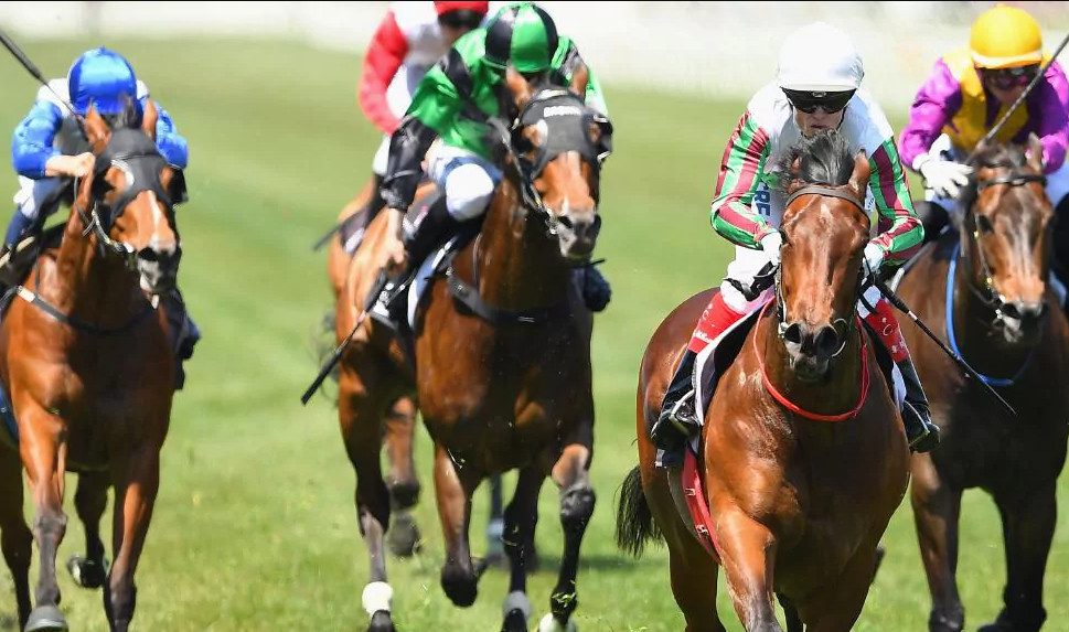 Australian horse Racing